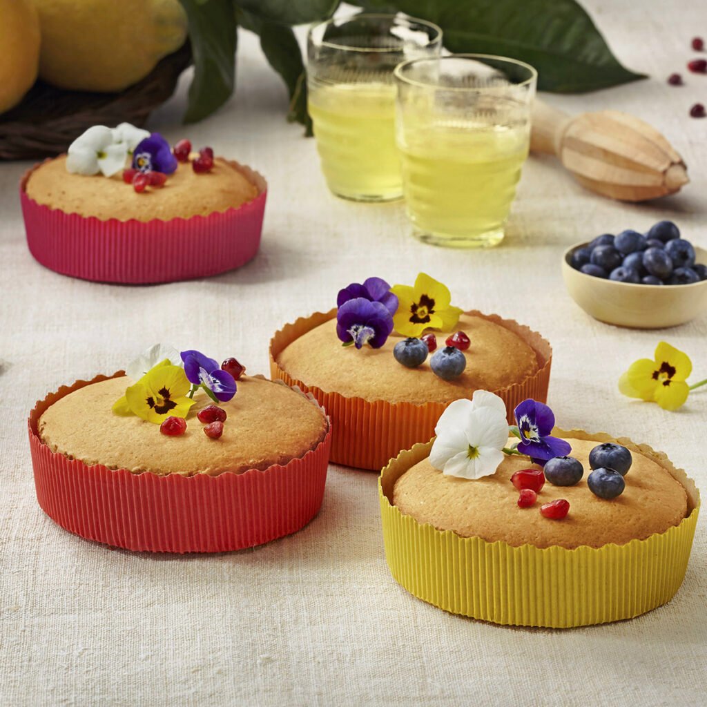 Roundcake Moulds - Ecopack India
